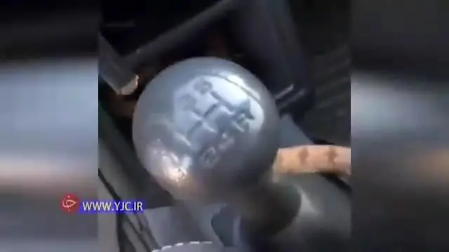 (ویدیو)  مار افعی در داخل پراید!