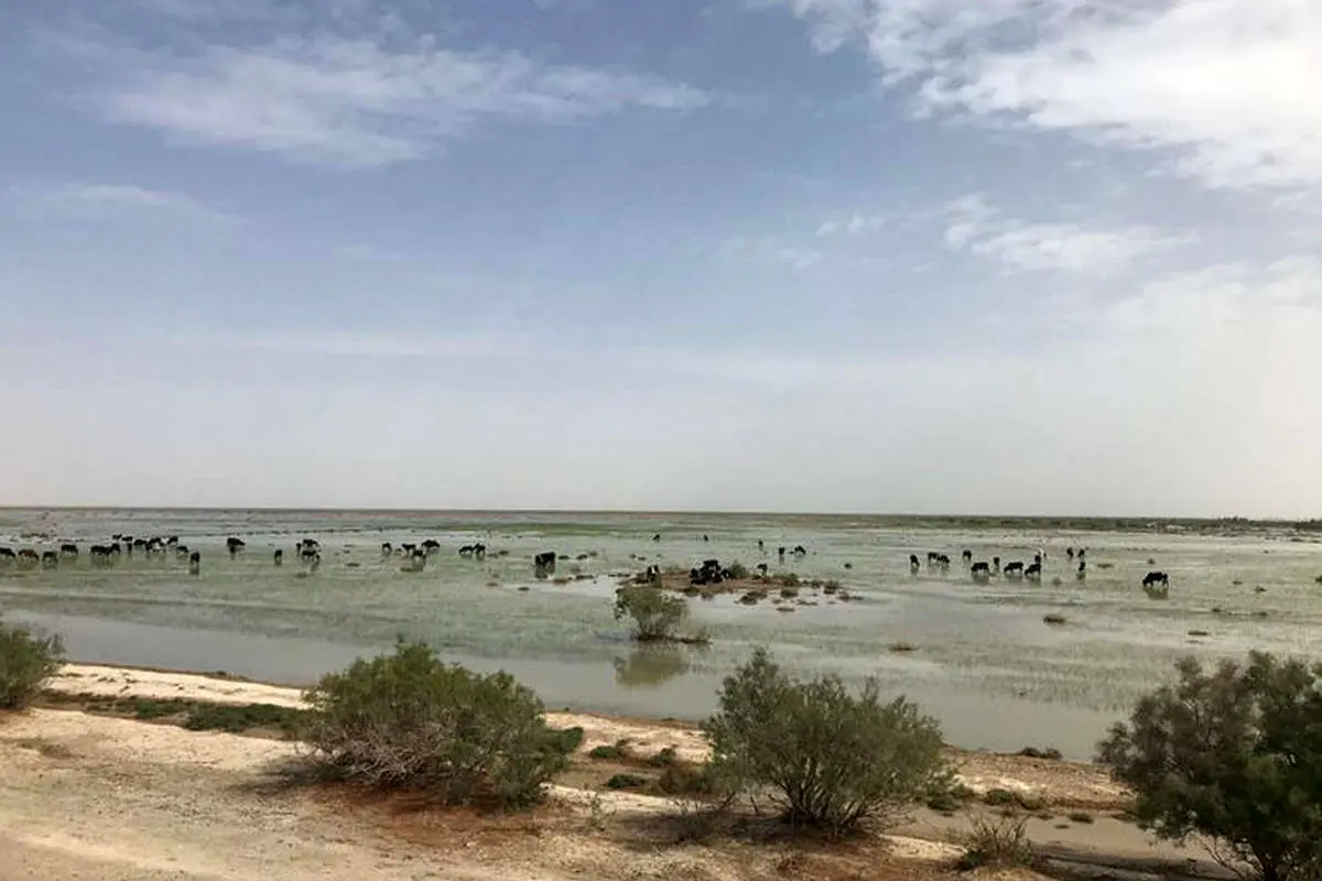 سه نفر در تالاب بینالمللی هامون غرق شدند