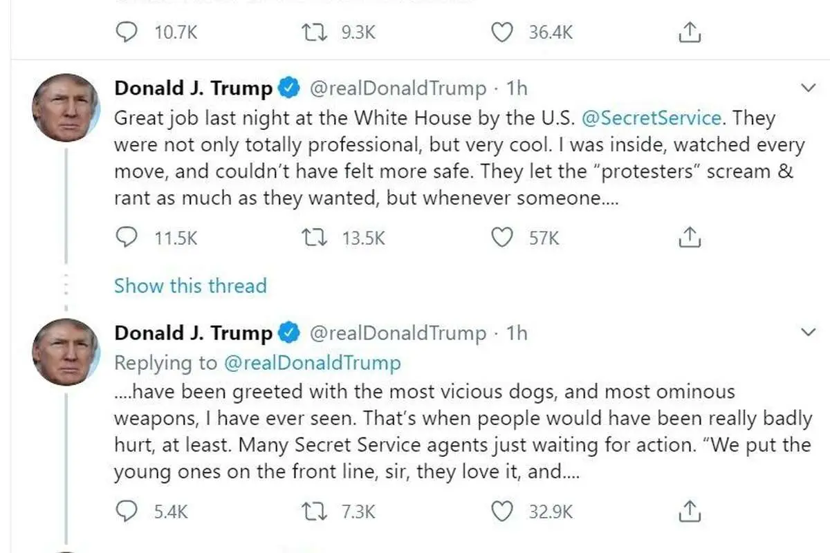 ترامپ: شرورترین سگ‌ها منتظر معترضان هستند!