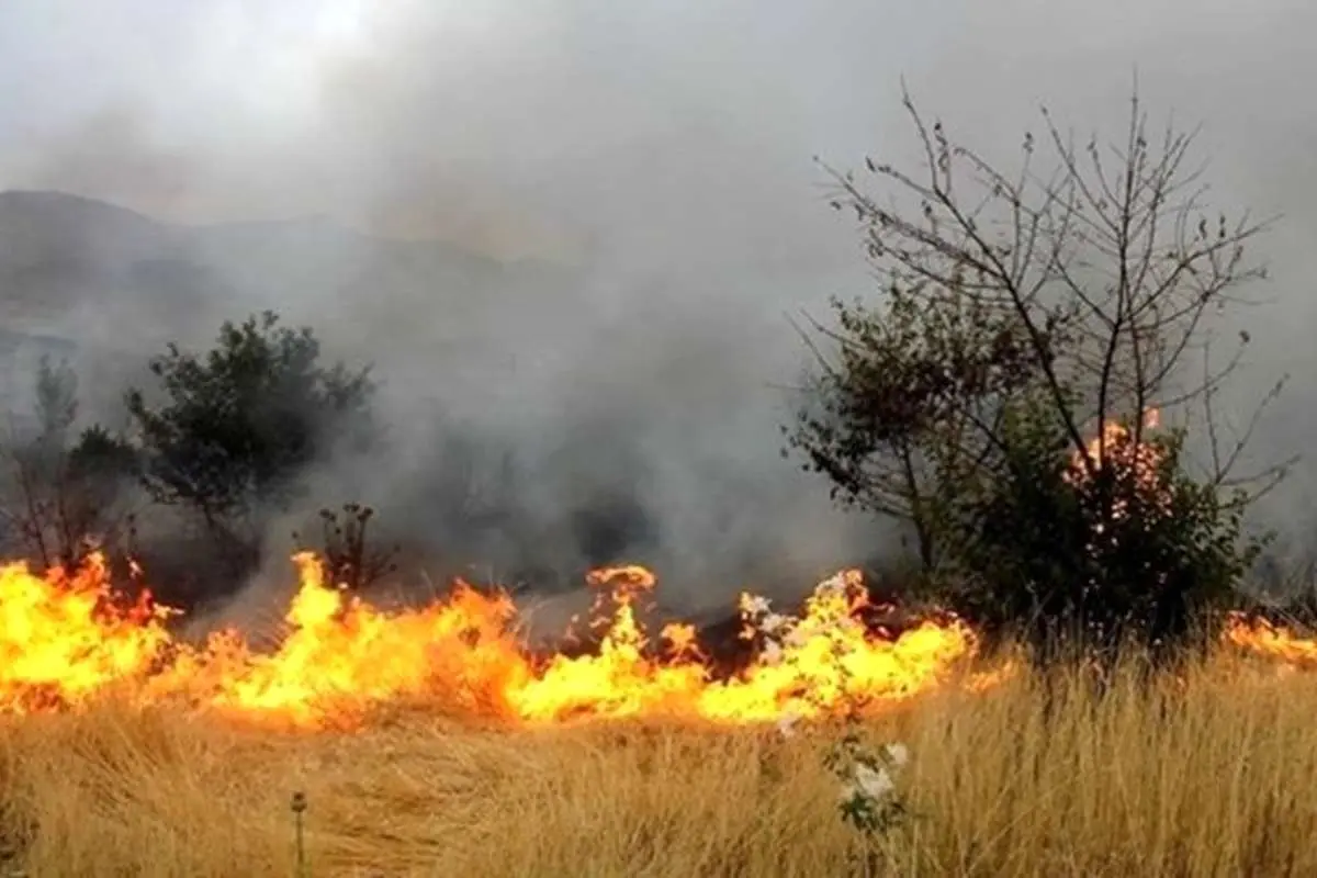 چه کسانی خائیز را آتش زدند؟