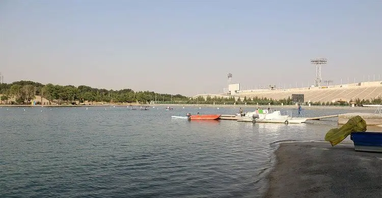 صبا شایسته درگذشت