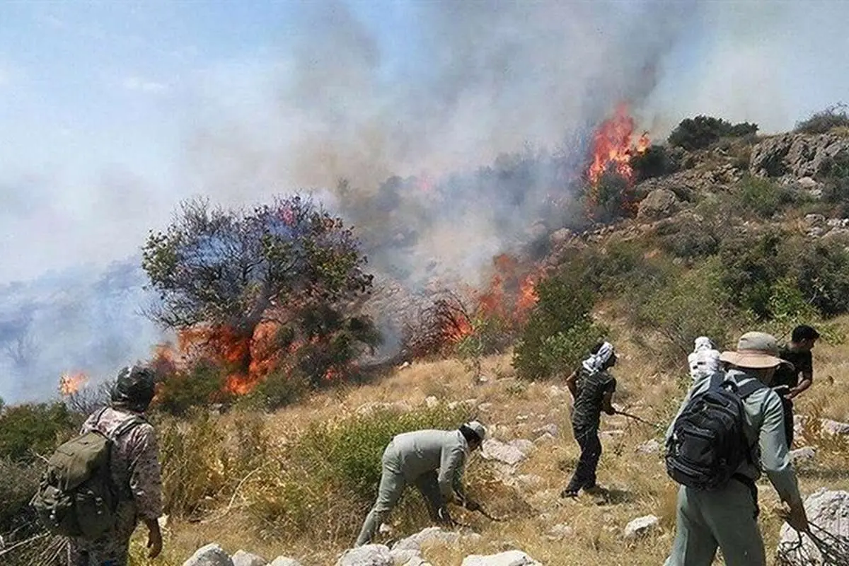 بازداشت دو نفر در رابطه با آتشسوزی جنگلهای کهگیلویه و بویراحمد