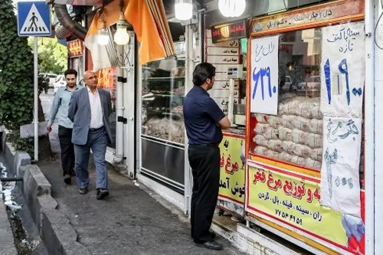 چرا مرغ گران شد؟