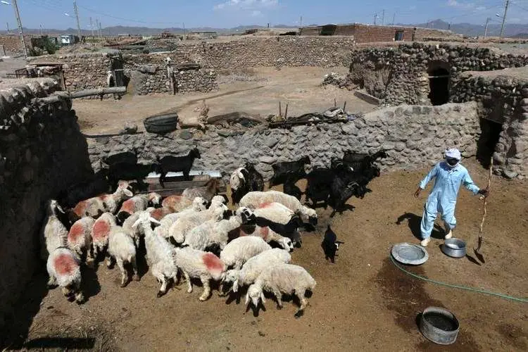 ۱۰ هزار و ۵۰۰ شغل جدید برکت در خراسان جنوبی