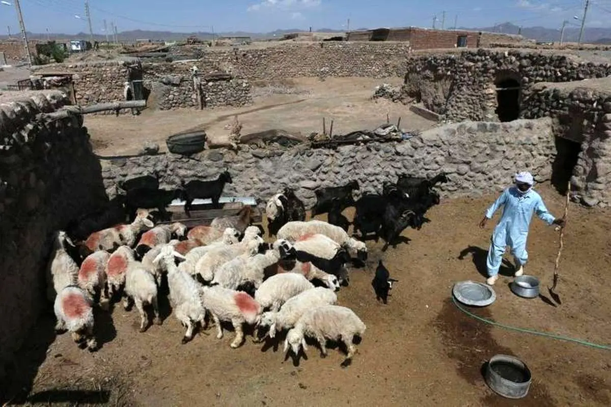 ۱۰ هزار و ۵۰۰ شغل جدید برکت در خراسان جنوبی