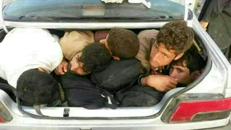 پديده شوم افغان‌كِشی