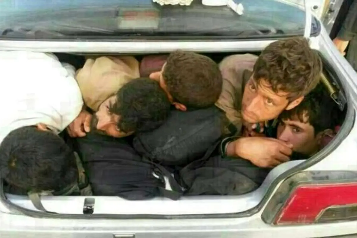 پديده شوم افغانكِشی