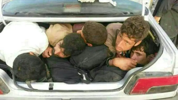 پديده شوم افغان‌كِشی