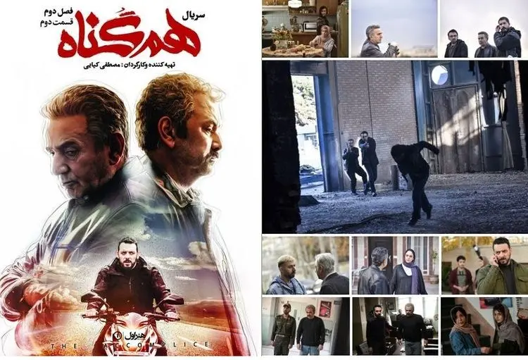 دانلود قسمت دوم از فصل دوم هم گناه؛ در یک قدمی گورکن!