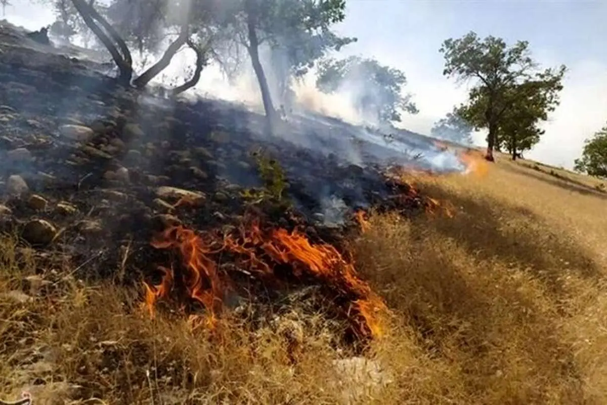 مصیبت جدید برای زاگرس؛ آتش سوزی گسترده در باشت
