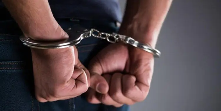 جزئیات دستگیری یکی از مفسدان اقتصادی در خارج از کشور