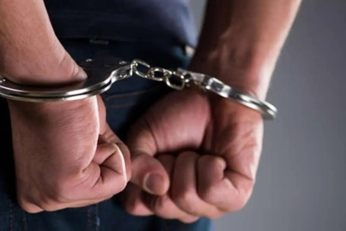 جزئیات دستگیری یکی از مفسدان اقتصادی در خارج از کشور