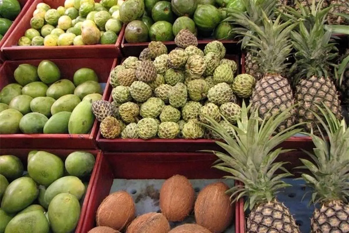 لشکرکشی هخامنشیان علیه میوههای وارداتی