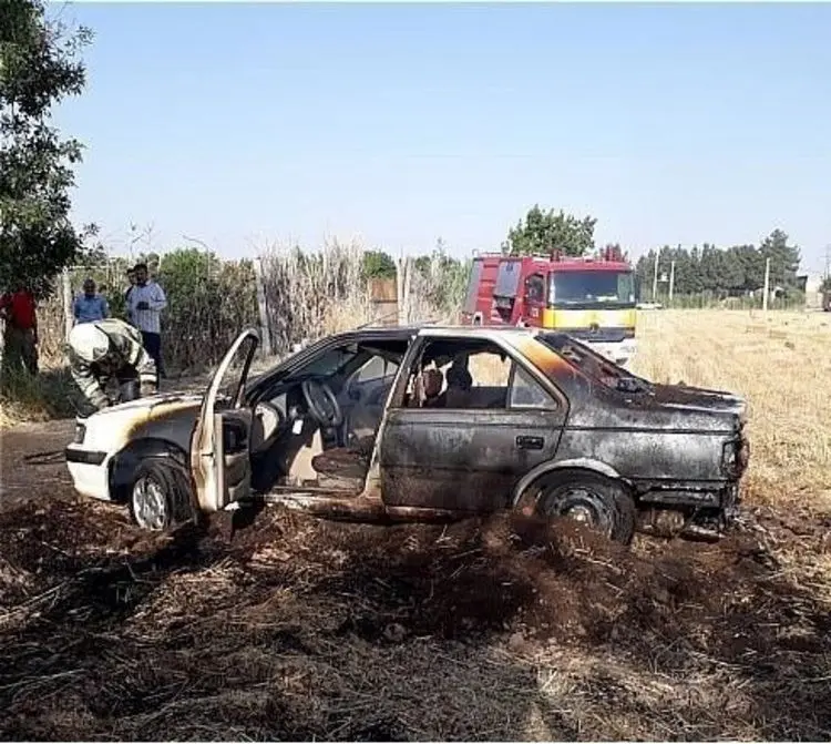 (تصاویر) آتش‌سوزی گندم‌زار منجر به آتش گرفتن پژوپارس شد