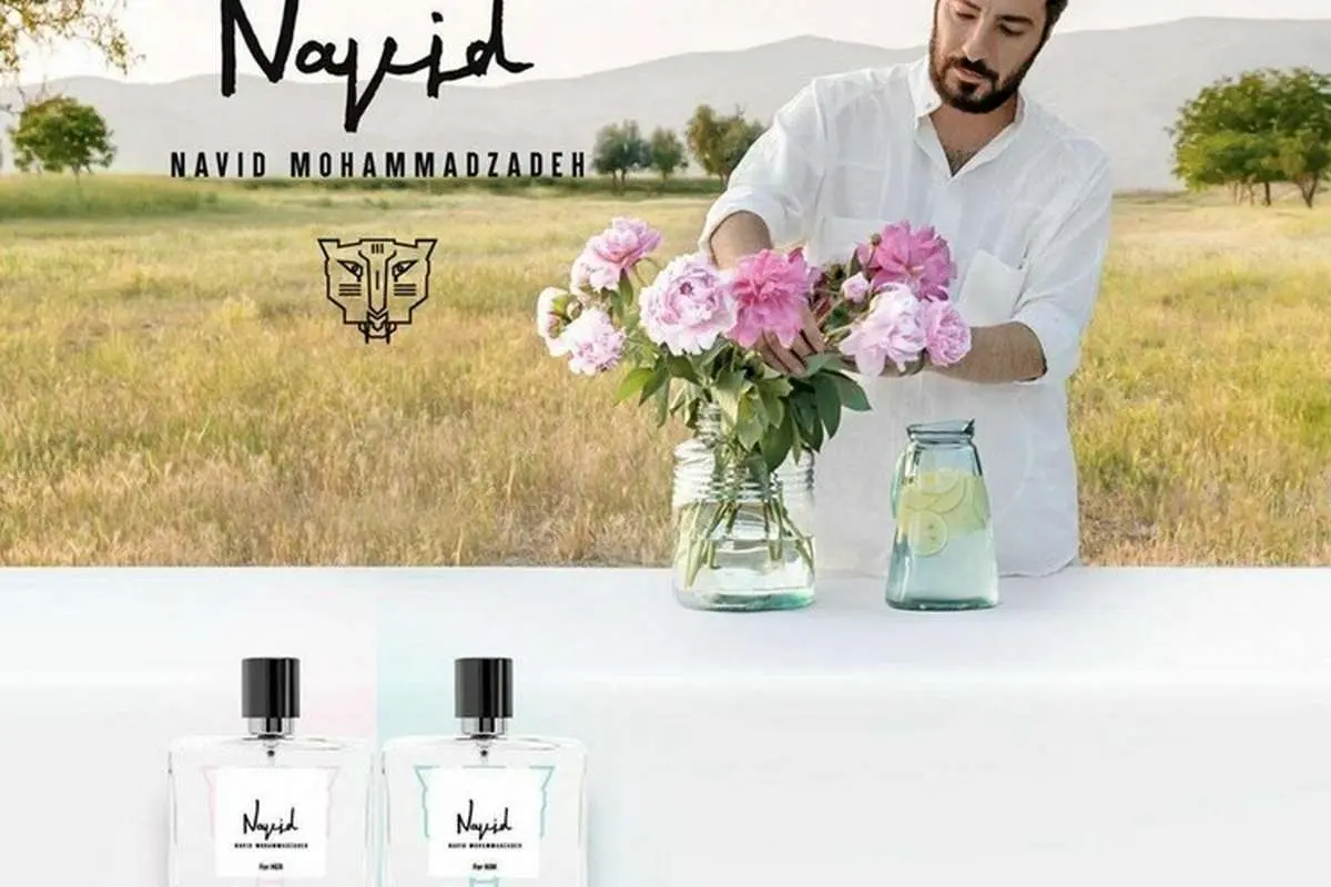 نوید محمدزاده: چرا فقط دنبال این هستیم آدمها را بکوبیم؟!