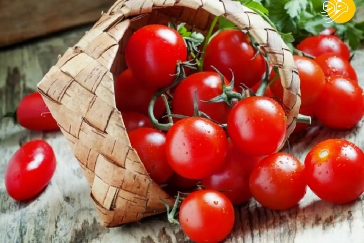 خواص گوجه گیلاسی به همراه چند دستور غذایی لذیذ
