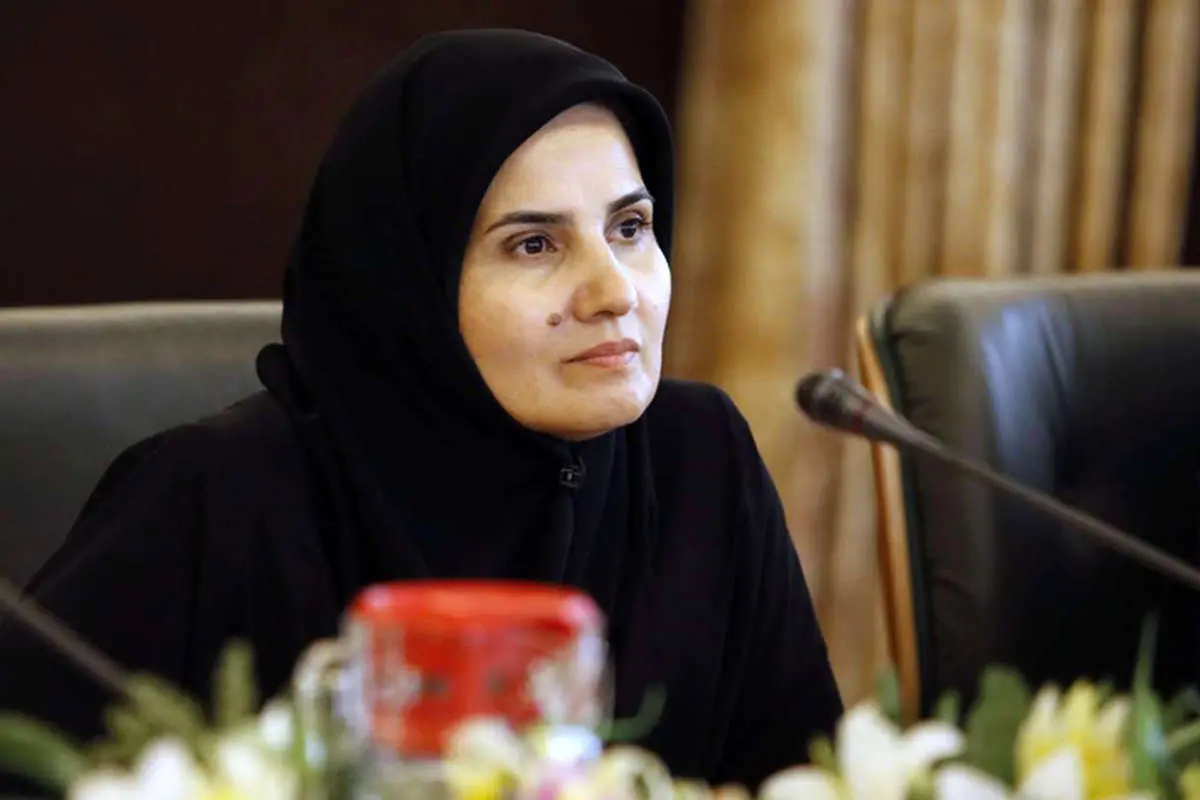 لعیا جنیدی: حرکت جنگندههای آمریکا تخلف است