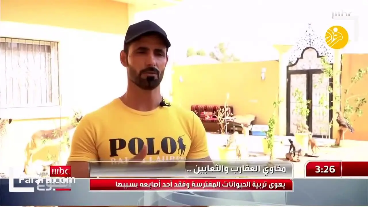 (ویدئو) زندگی جوان عربستانی با حیوانات درنده و سمی!
