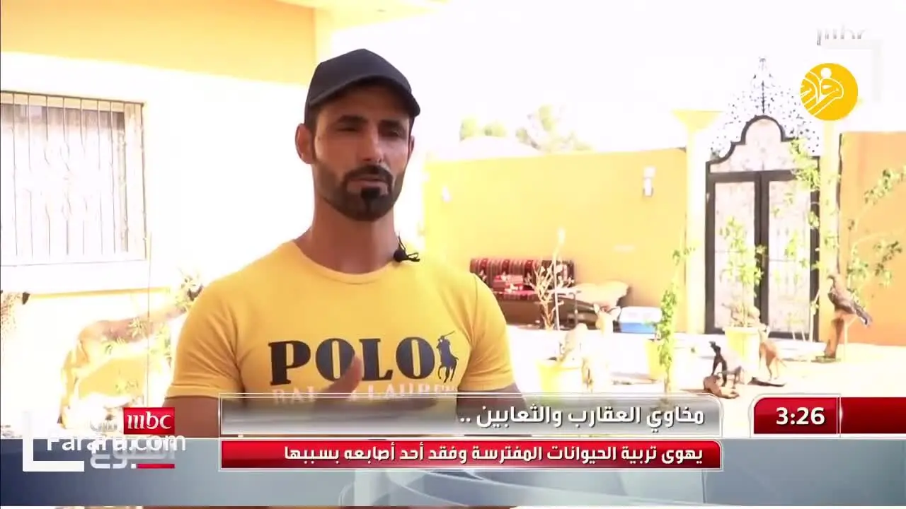 (ویدئو) زندگی جوان عربستانی با حیوانات درنده و سمی!