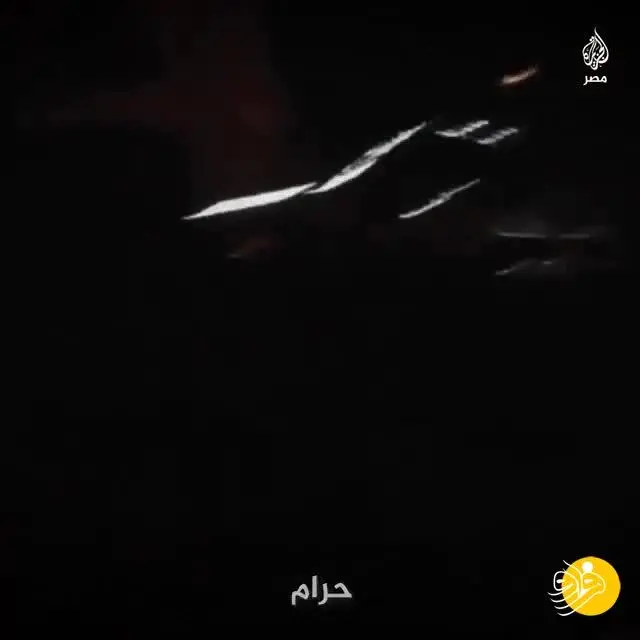 (ویدئو) قتل عام سگ‌ها با سم!