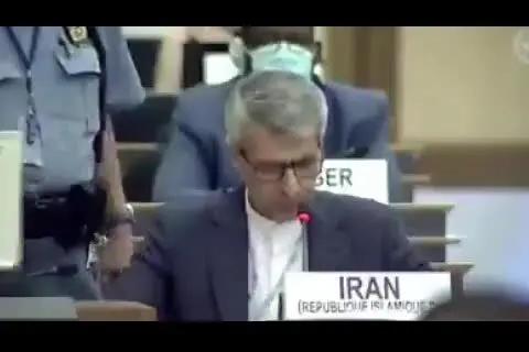 (ویدئو) برداشتن عکس سردار سلیمانی توسط پلیس سازمان ملل