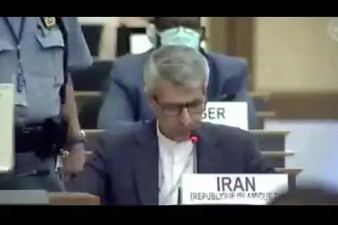 (ویدئو) برداشتن عکس سردار سلیمانی توسط پلیس سازمان ملل