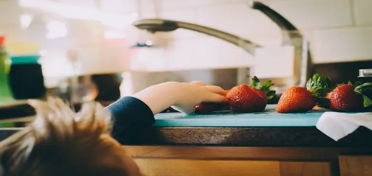 9 میان وعده سالم برای بچه ها که به راحتی جایگزین خوراکی های مضر خواهند شد