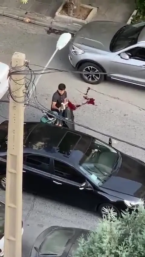 (ویدئو 16+) تیراندازی خونین در سعادت آباد به خاطر یک دختر