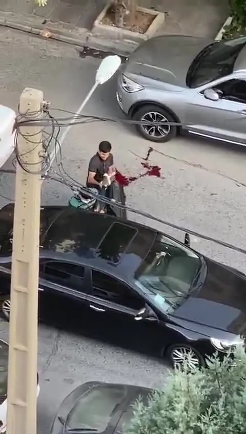 (ویدئو 16+) تیراندازی خونین در سعادت آباد به خاطر یک دختر