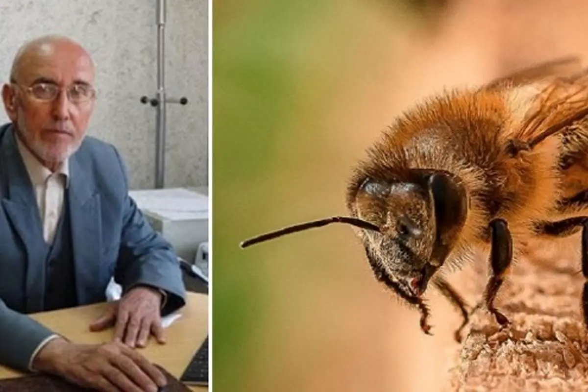 پروفسور عظیم اکبرزاده خیاوی و ادعای درمان کرونا با زهر زنبور