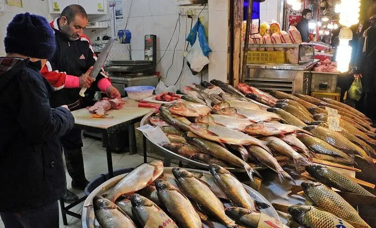 کرونا؛ بازار آبزیان در آستانه ورشکستگی