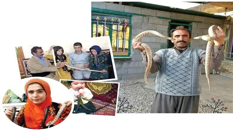 زندگی عجیب مرد کرمانشاهی با خزندگان مرگبار؛ مار ضامن وامم شد!