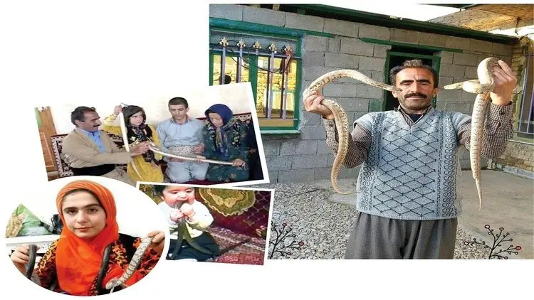 زندگی عجیب مرد کرمانشاهی با خزندگان مرگبار؛ مار ضامن وامم شد!