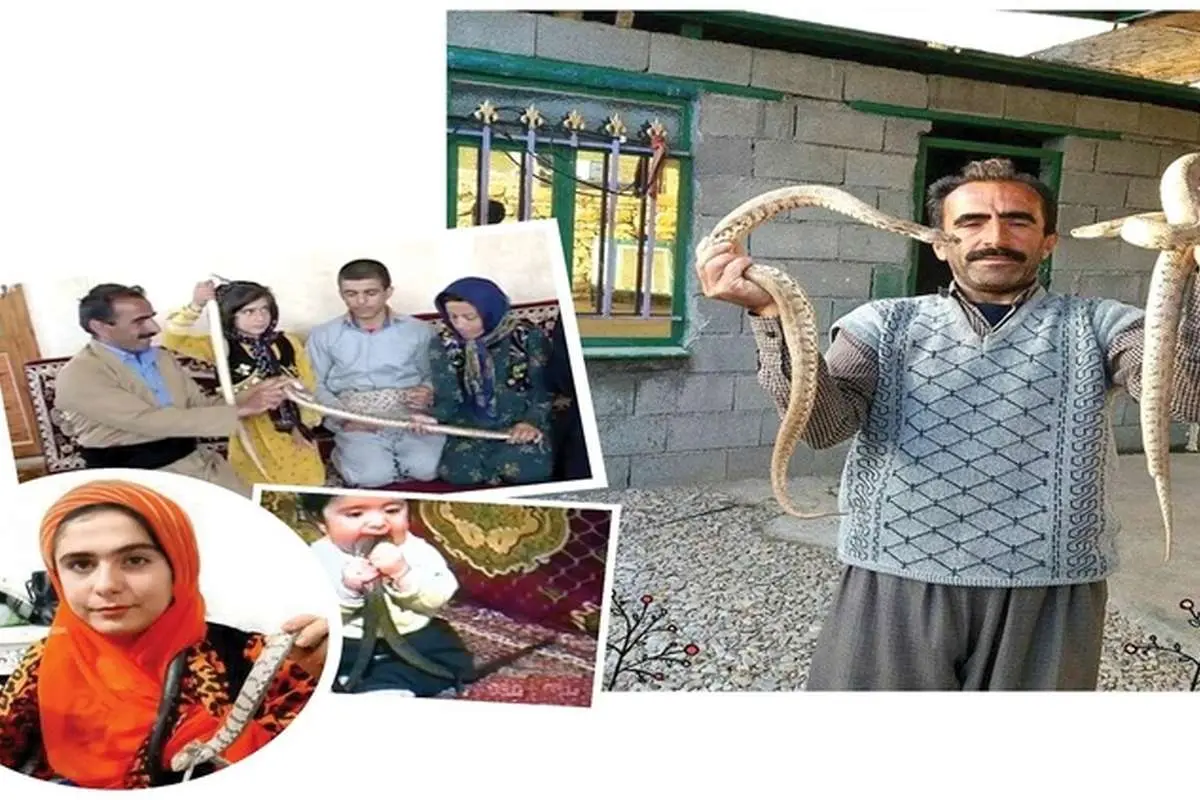 زندگی عجیب مرد کرمانشاهی با خزندگان مرگبار؛ مار ضامن وامم شد!