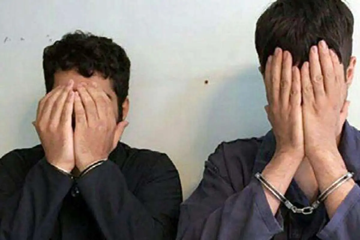 گنج میلیاردی در باغچه خانه مالباخته