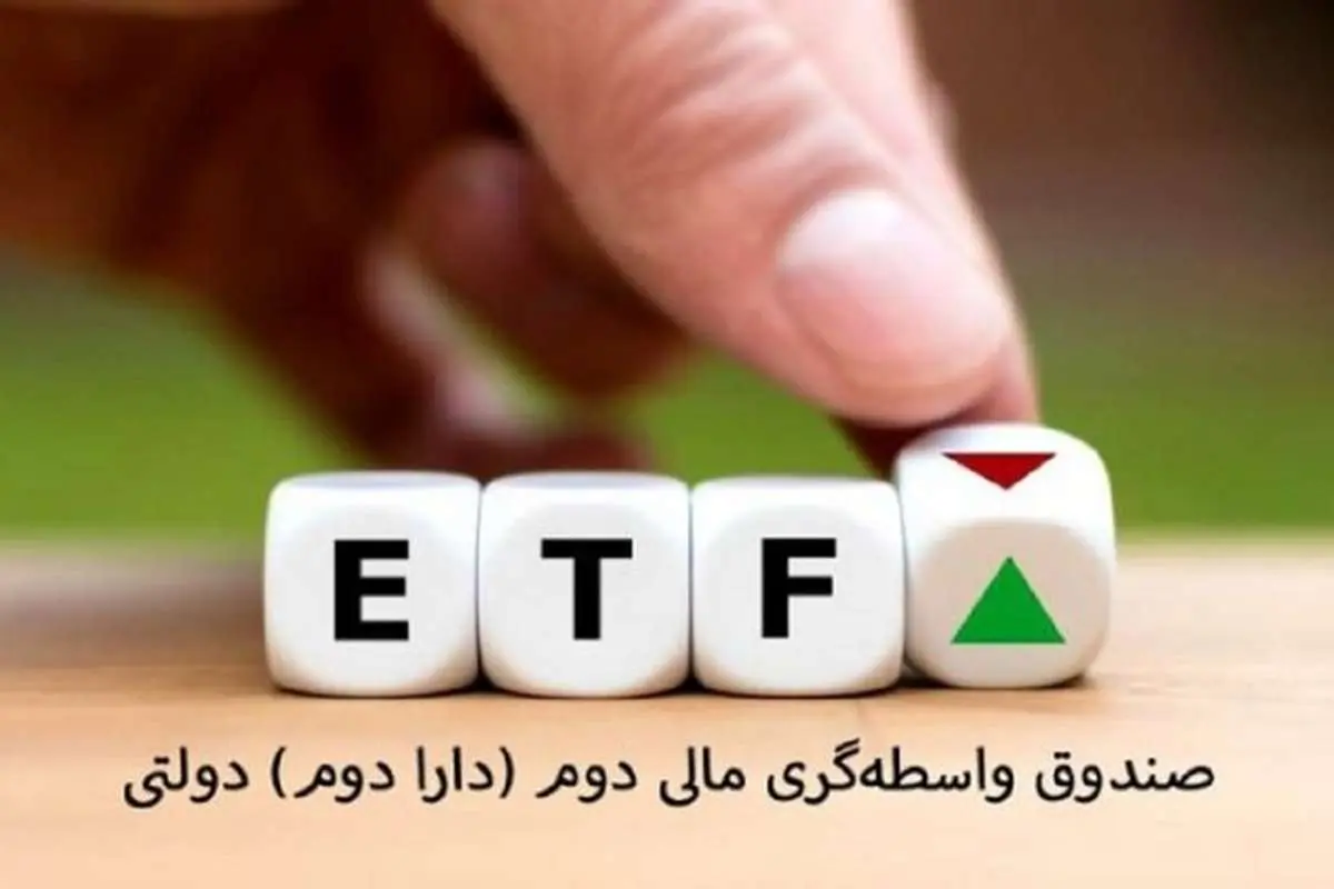 تصمیم مهم دولت درباره سهام دارا دوم