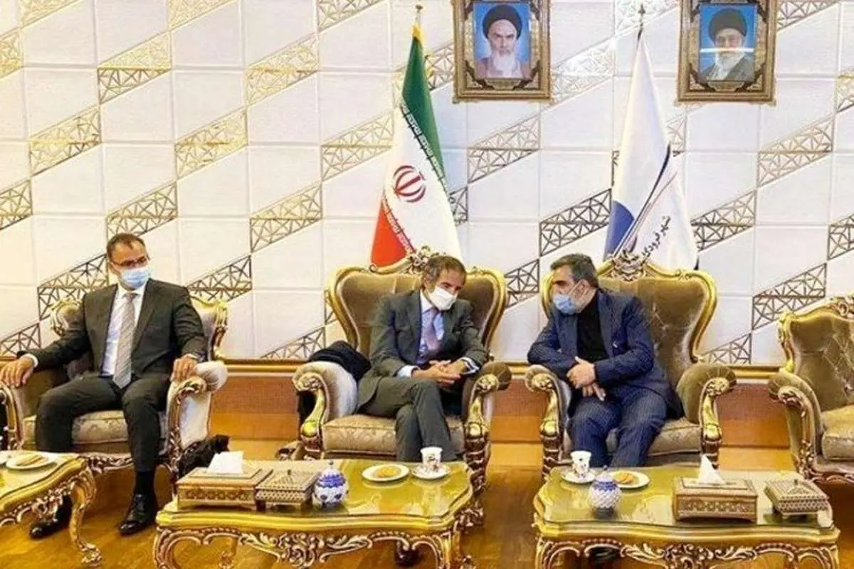 ابعاد سفر مدیر کل آژانس به ایران