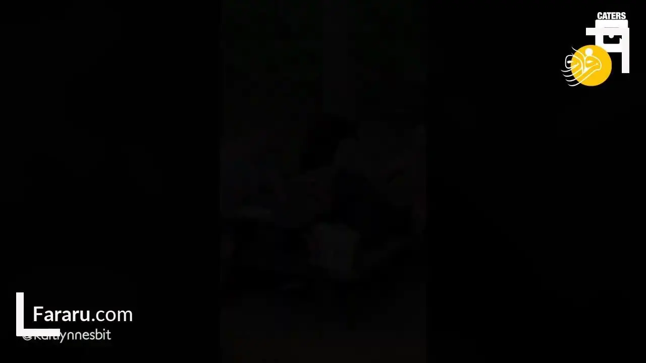 (ویدئو) پیک نیک دوستانه با خرس وحشی!