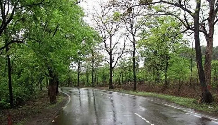 شمال کشور خنک می‌شود