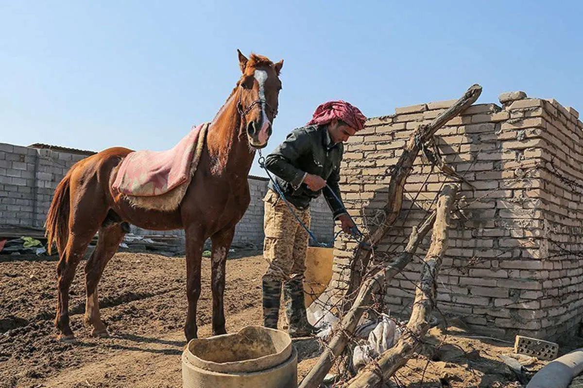 (تصاویر) یک روز با اهالی روستای ابوالبوه خوزستان