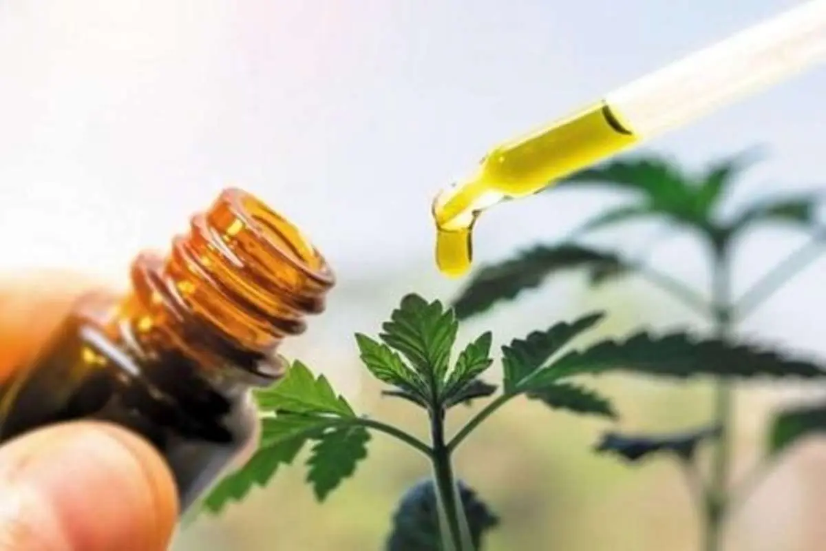 صدور مجوز دو داروی گیاهی برای درمان کرونا