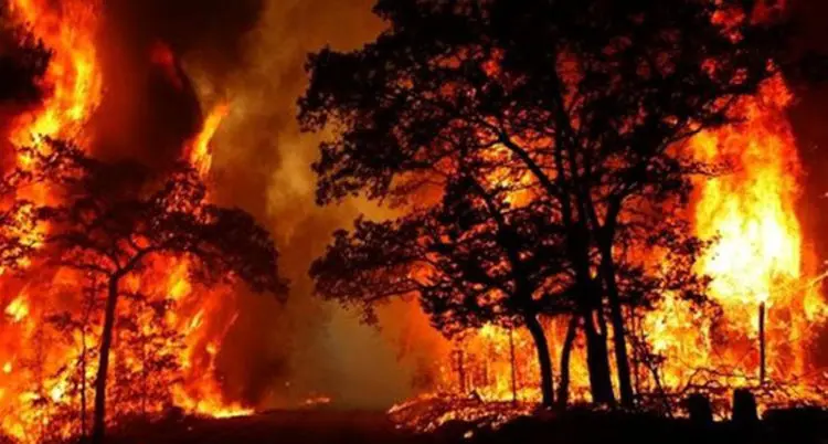 آتش‌سوزی در ارتفاعات حسین آباد شیراز