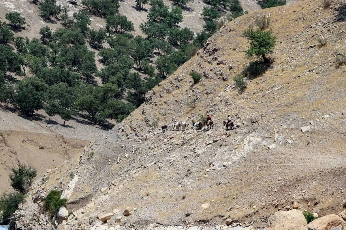 (تصاویر) زندگی در آن سوی رود
