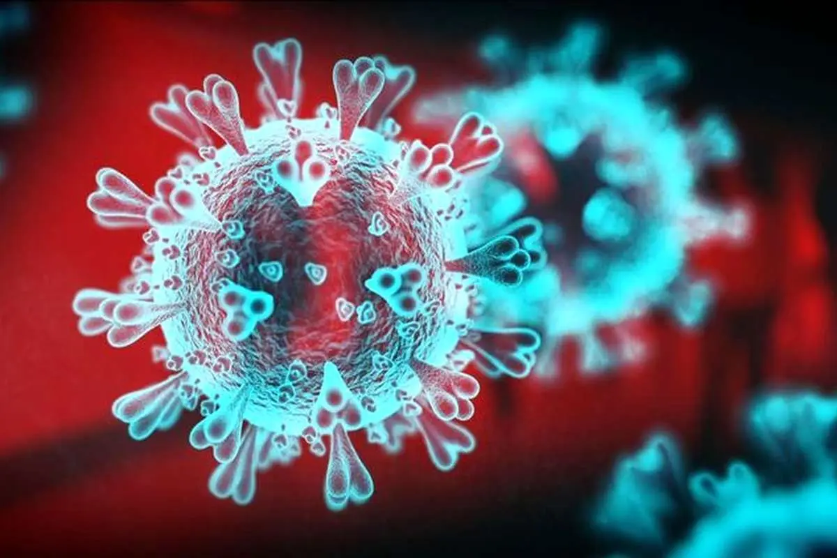 سلاح احتمالی ضد ویروس کرونا با منشأ طبیعی