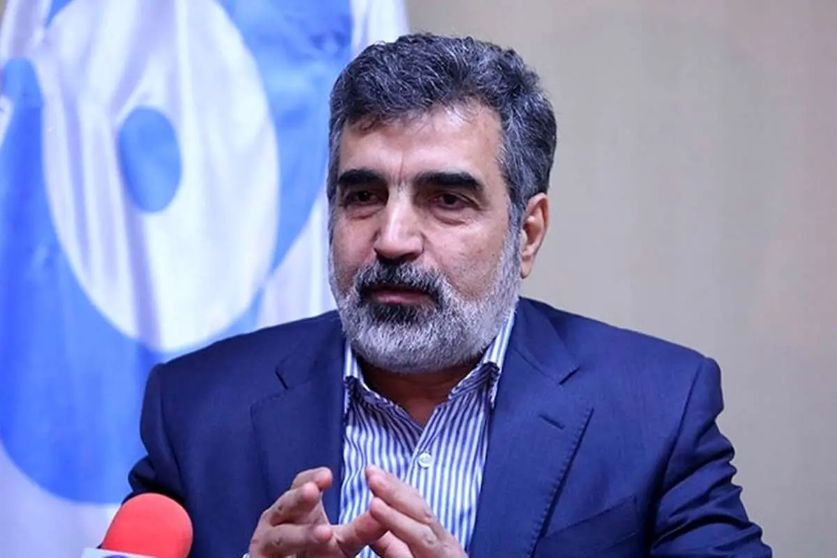 کمالوندی: عوامل خرابکاری در نطنز شناسایی شدند