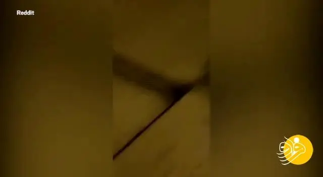 (ویدئو) عروس به جان مهمان مراسم افتاد!