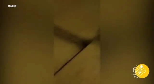 (ویدئو) عروس به جان مهمان مراسم افتاد!