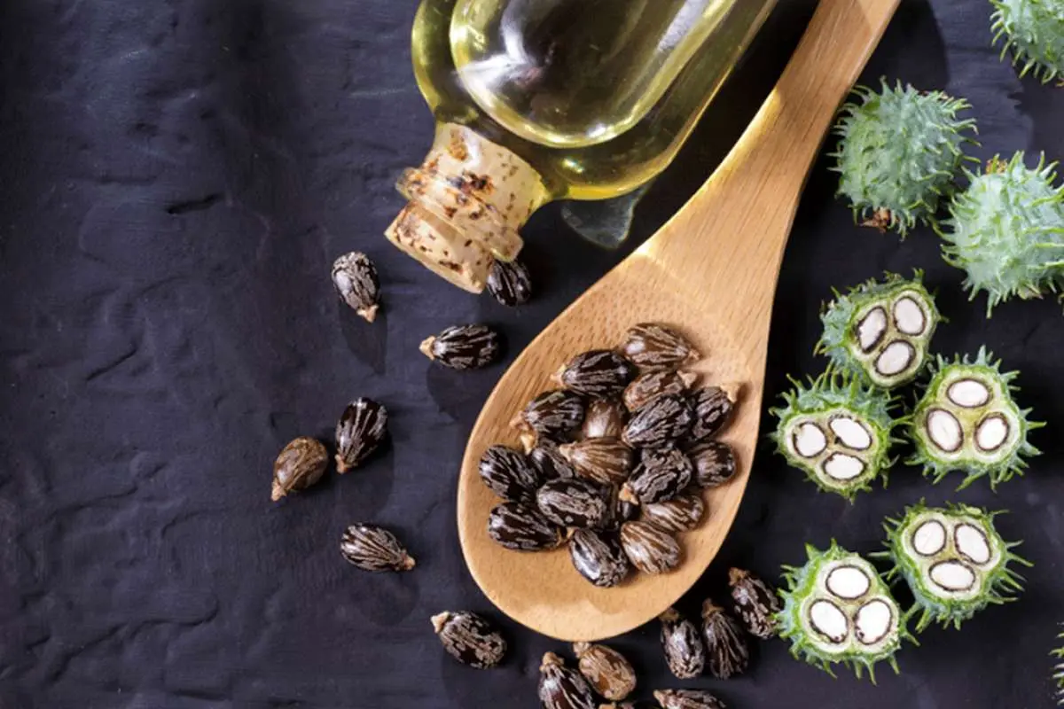 روغن کرچک و خواص بینظیر آن