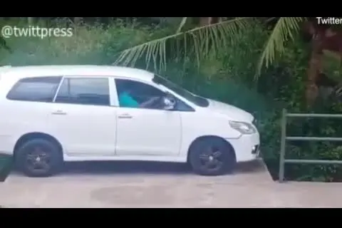 (ویدیو) پارک فوق حرفه‌ای ماشین توسط راننده هندی