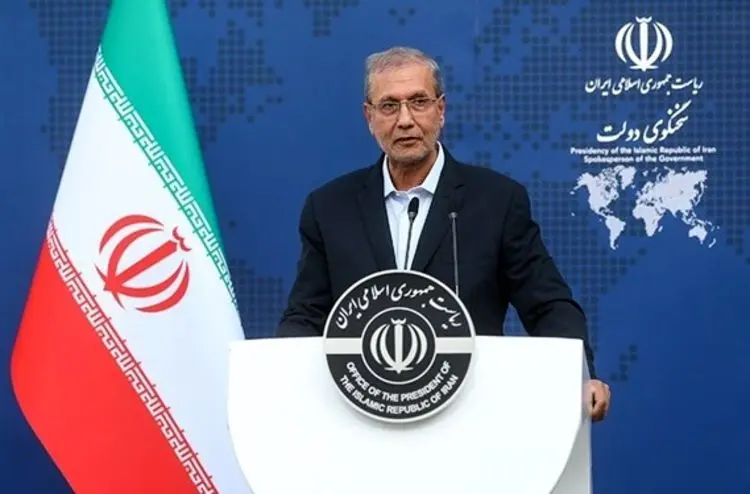 سخنگوی دولت: تحریم‌ها در عدم پرداخت پول ویلموتس تأثیرگذار است